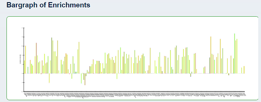 Enrichment Bargraph