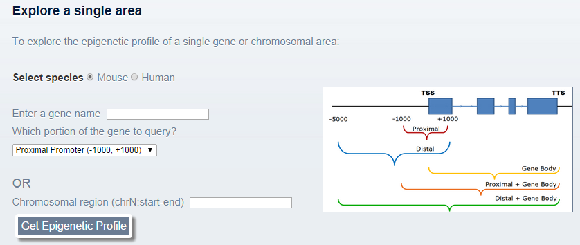 single_query